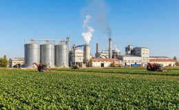 KONYA EREĞLİ ŞEKER FABRİKASI GEÇİCİ PERSONEL ALIMI YAPACAK